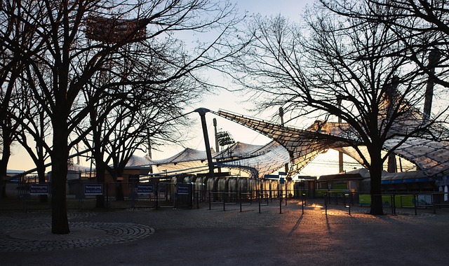 国际足联的 国际足联的