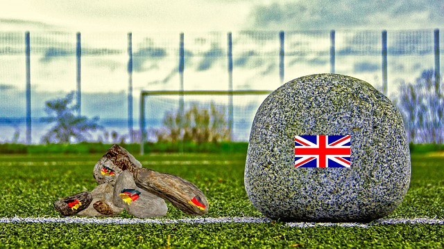 明了这仅仅 明了这仅仅