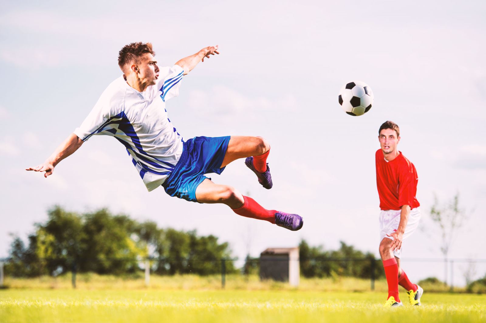 職業前景的 職業前景的