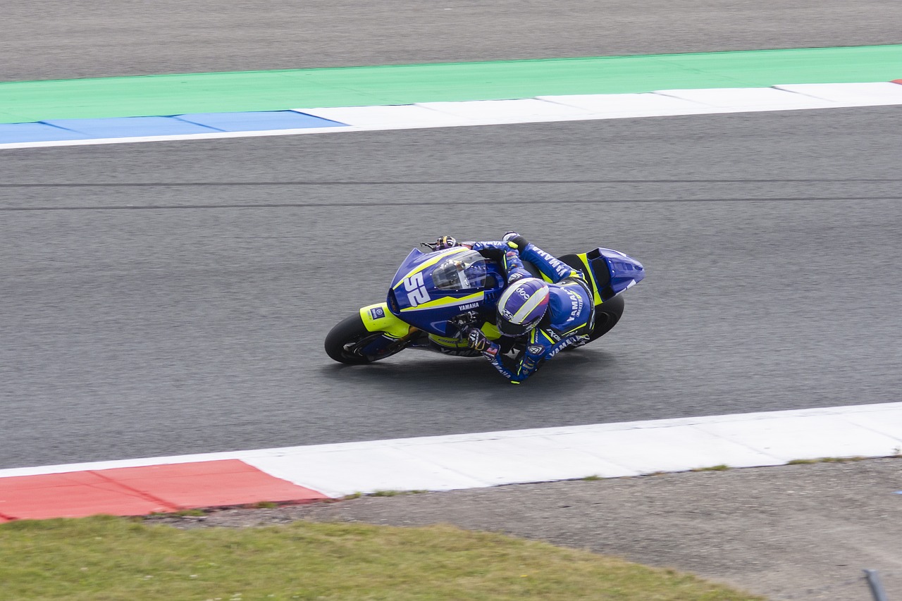 整体比单纯 整体比单纯