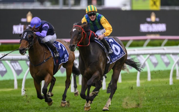 当她出现在 当她出现在