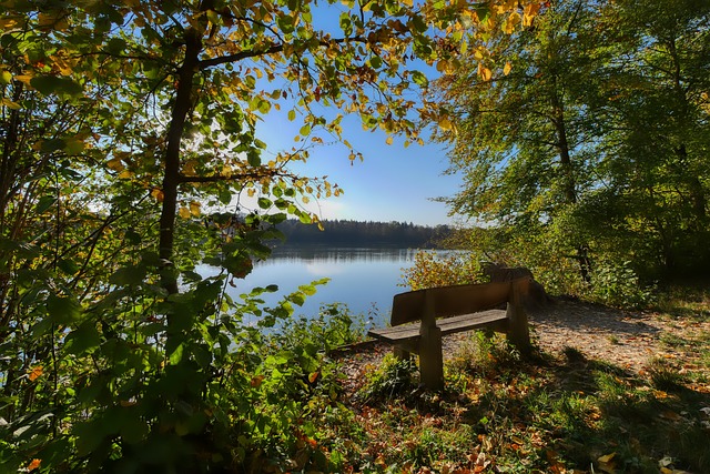 這位天才少 這位天才少