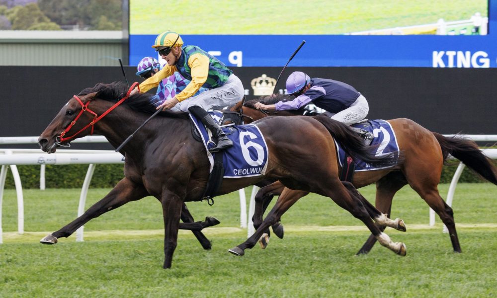 他的状态似 他的状态似